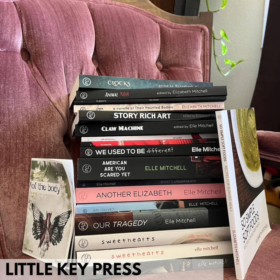 A stack of every title published from the Little Key Press on a blush colored velvet chair with a pothos in the right corner