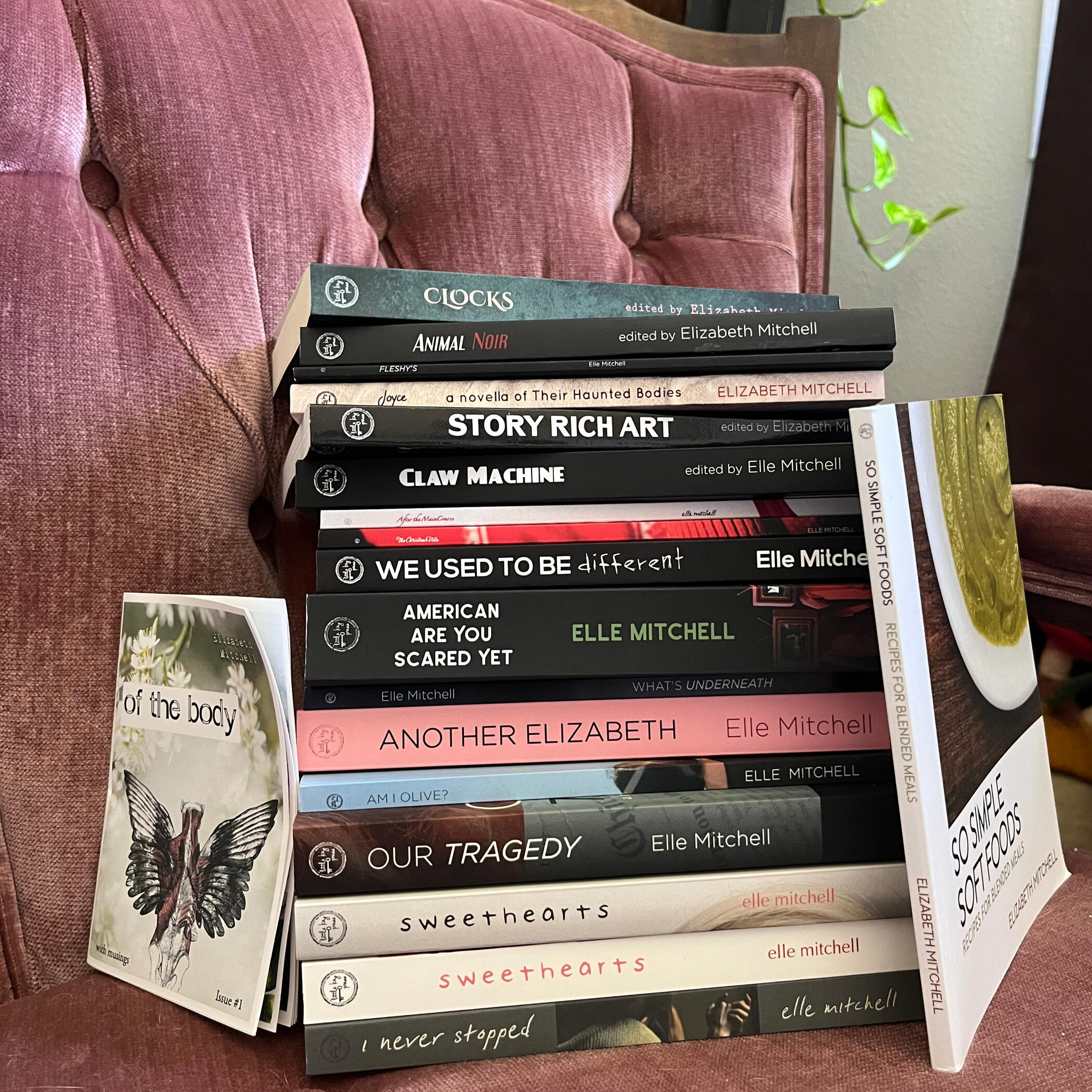 A stack of every title published from the Little Key Press on a blush colored velvet chair with a pothos in the right corner